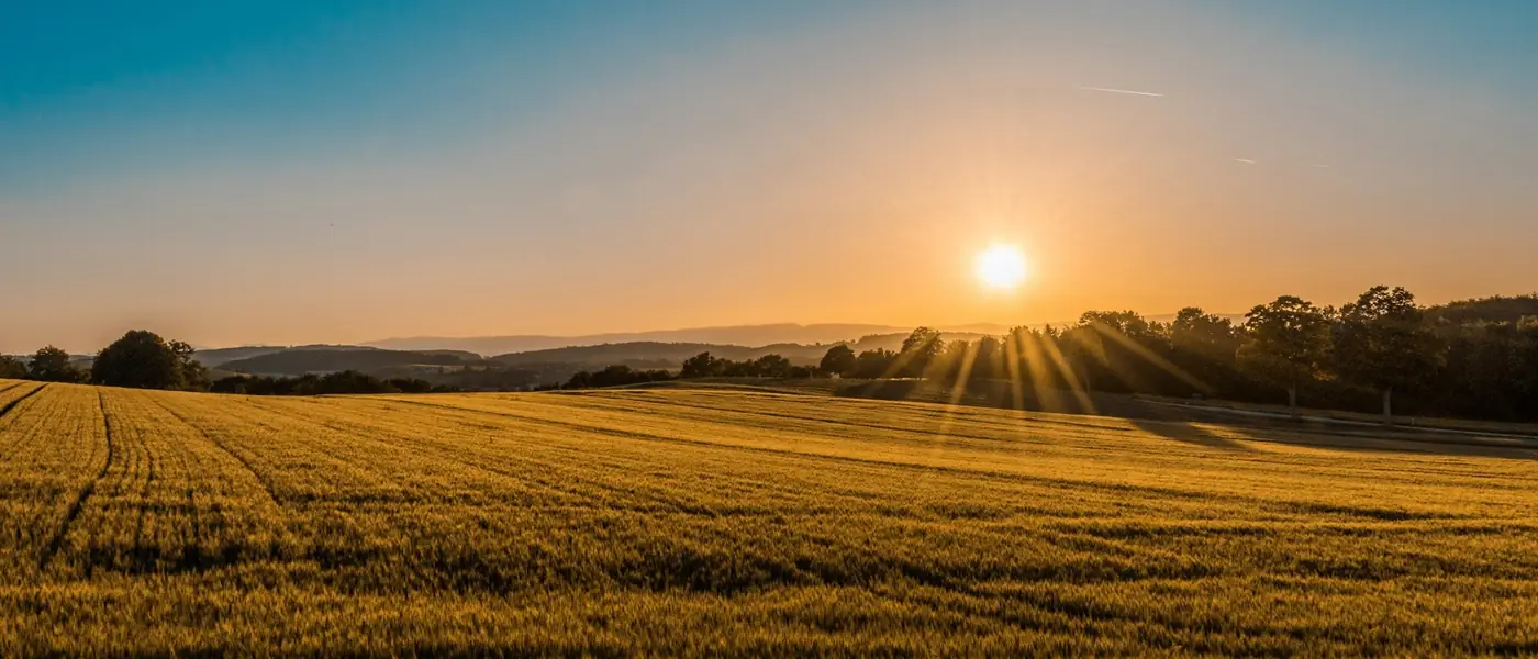 Golden sunset over open Lancashire farmland